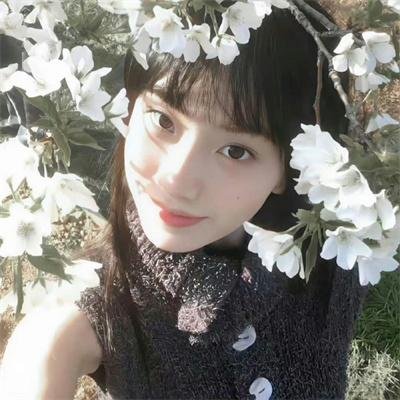 后海前街 在线观看封面